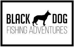 Black Dog Fishing Adventures 